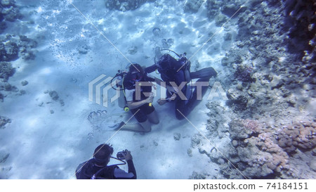 a group of divers at the bottom of the Red Sea during a shallow depth a group of divers at the bottom of the Red Sea during a shallow depth 74184151