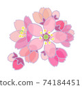 Cherry blossoms (pastel style) Bunch blooming size 74184451
