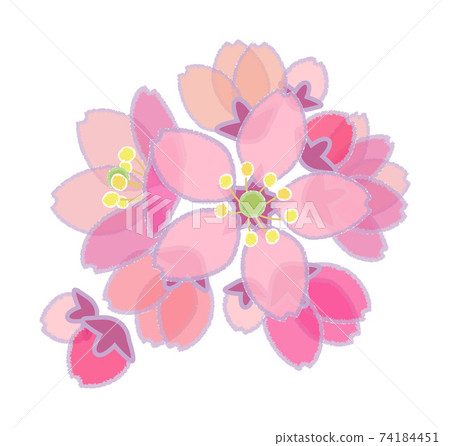 Cherry blossoms (pastel style) Bunch blooming size 74184451