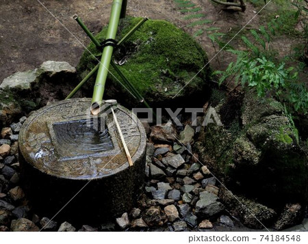 Tsukubai of Ryoanji Temple "Japanese-style image" (Kyoto) 74184548