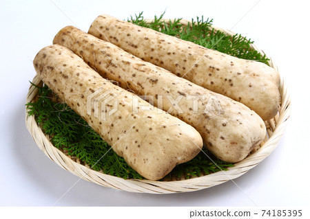 Yamato Tome Yamato Tome 74185395