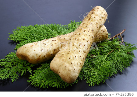 Yamato Tome 74185396