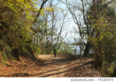 Hiking in Forest Park Xuejian Recreation Area Xuepa National Park Hiking in Forest Park Xuejian Recreation Area Xuepa National Park 74185975