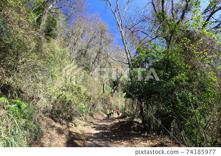 Hiking in Forest Park Xuejian Recreation Area Xuepa National Park Hiking in Forest Park Xuejian Recreation Area Xuepa National Park 74185977