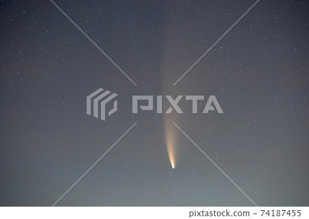Neowise comet with light tail on dark night sky on July 16, 2020. Neowise comet with light tail on dark night sky on July 16, 2020. 74187455