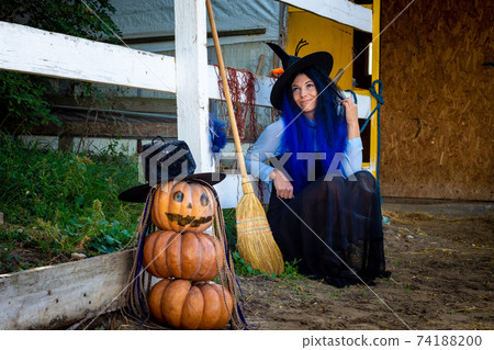 Halloween celebration witch and pumpkin figure sit by the fence Halloween celebration witch and pumpkin figure sit by the fence 74188200