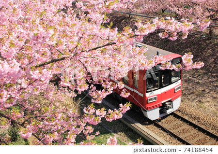 三浦海gan櫻花節和京濱急行線 74188454