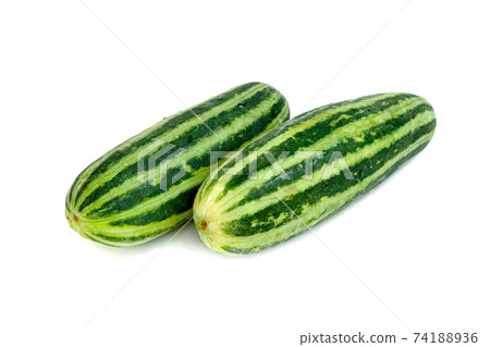 Cucumber or Cucumis melo isolated on white background 74188936
