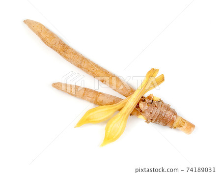 finger root or Chinese's Ginger sliced isolated on the white background. 74189031