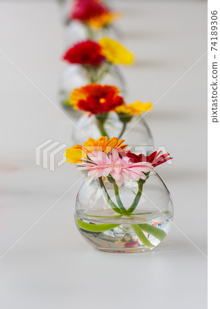 Aligned flowers on table 74189306