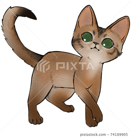 Abyssinian cat illustration 74189905