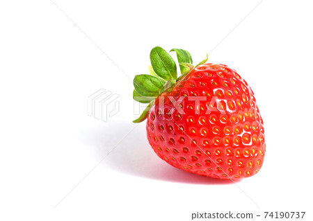 Strawberry (Koi Nozomi / Variety name is "Koi Minori") 74190737