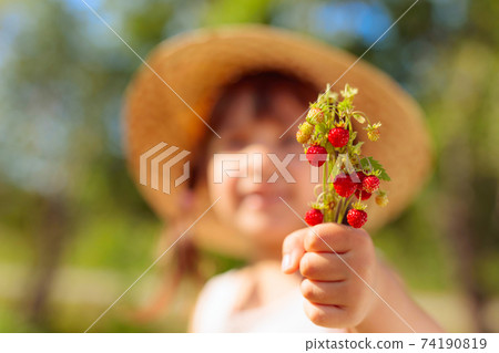 Little girl holding wild strawberry in hand. Little girl holding wild strawberry in hand. 74190819