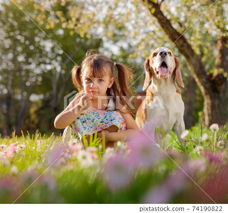 Happy little girl playing with dog in garden. Happy little girl playing with dog in garden. 74190822