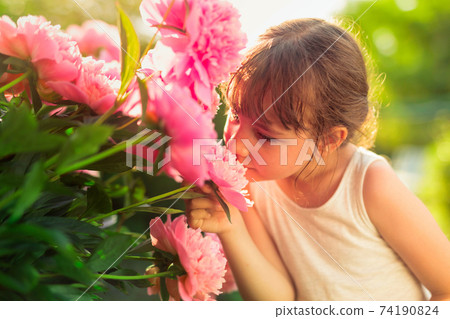 A little girl in the garden sniffs pink flowers. A little girl in the garden sniffs pink flowers. 74190824