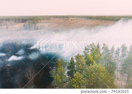 Aerial View. Spring Dry Grass Burns During Drought Hot Weather. Bush Fire And Smoke In Deforestation Zone. Wild Open Fire Destroys Grass. Nature In Danger. Ecological Problem Air Pollution 74191025
