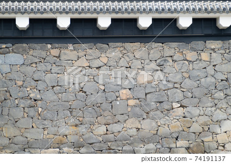 [Kumamoto Prefecture] Kumamoto Castle 74191137