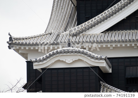 [Kumamoto Prefecture] Kumamoto Castle 74191139
