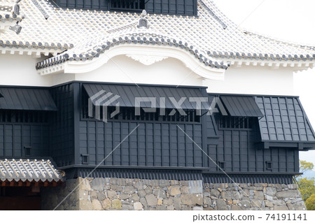 [熊本縣]熊本城 74191141