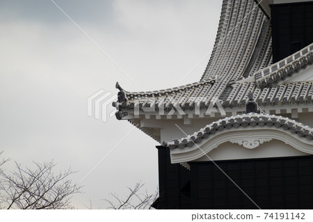 [熊本縣]熊本城 74191142
