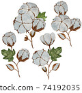Four unique branches of cotton plant painted in watercolor 74192035