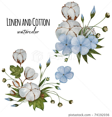 Two compositions with Linen flowers and cotton bolls. Two compositions with Linen flowers and cotton bolls. 74192036