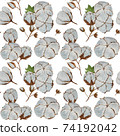 Cotton bolls watercolor seamless pattern. 74192042