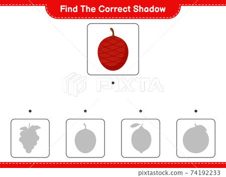 Find the correct shadow. Find and match the correct shadow of Ita Palm. Educational children game, printable worksheet, vector illustration 74192233