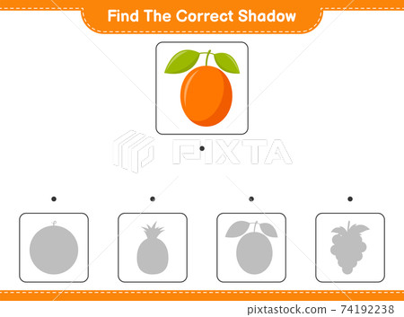 Find the correct shadow. Find and match the correct shadow of Ximenia. Educational children game, printable worksheet, vector illustration Find the correct shadow. Find and match the correct shadow of Ximenia. Educational children game, printable worksheet, vector illustration 74192238