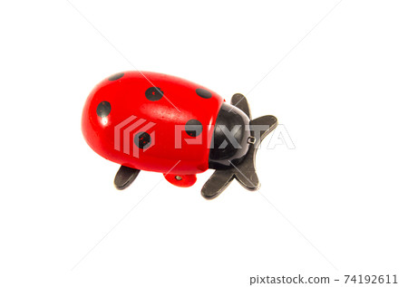 wooden ladybird toy isolated on white wooden ladybird toy isolated on white 74192611