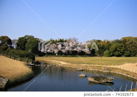 Korakuen pond and cherry blossom scenery 74192673
