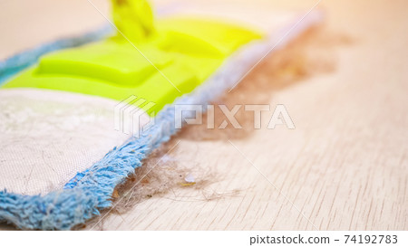 Soft mop and shreds of dust and hair on wooden floor in room Soft mop and shreds of dust and hair on wooden floor in room 74192783