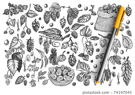 Pine cones doodle set collection 74197045
