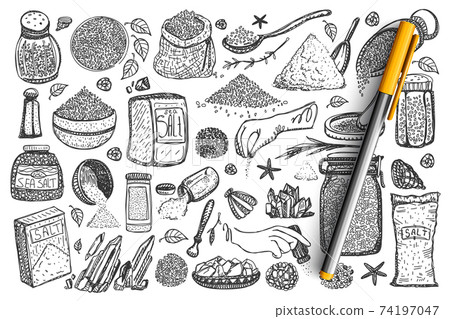Salt hand drawn doodle set 74197047