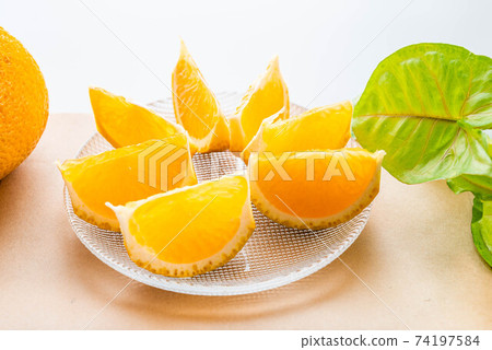 Cut sweet spring Cut sweet spring 74197584