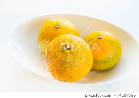 甜蜜的春天 甜蜜的春天 74197589