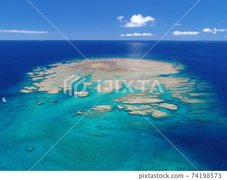 珊瑚礁沖繩礁 74198573