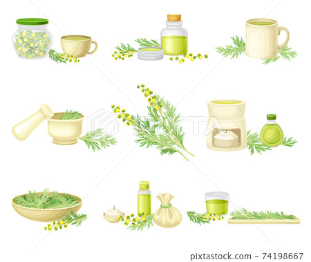 Wormwood or Southernwood Plant Yellow Extraction and Herbal Tea in Mug Vector Composition Set Wormwood or Southernwood Plant Yellow Extraction and Herbal Tea in Mug Vector Composition Set 74198667