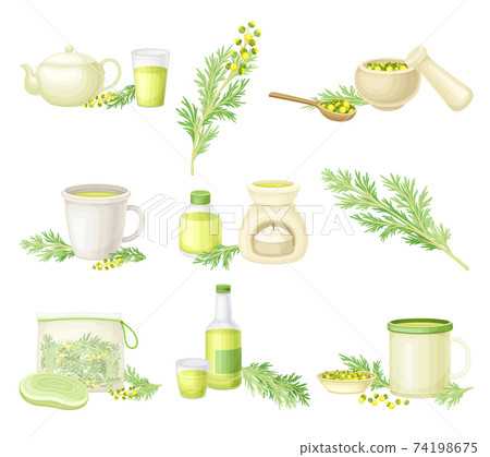 Wormwood or Southernwood Plant Yellow Extraction and Herbal Tea in Mug Vector Composition Set 74198675