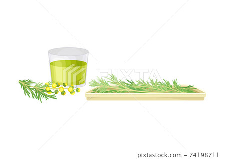 Glass with Fresh Wormwood or Southernwood Plant Extraction Vector Composition Glass with Fresh Wormwood or Southernwood Plant Extraction Vector Composition 74198711