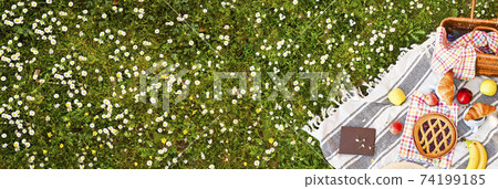 Picnic basket on a plaid and a green meadow with flowers. Lunch sweet cake, croissants, drinks 74199185