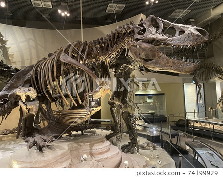 國家科學博物館的恐龍化石 74199929