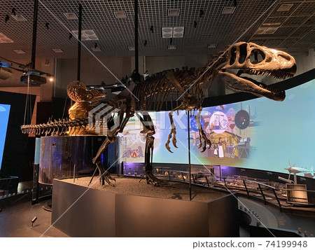 Dinosaur fossils at the National Science Museum 74199948