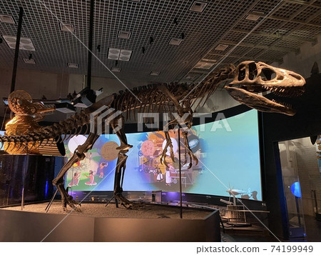 Dinosaur fossils at the National Science Museum 74199949
