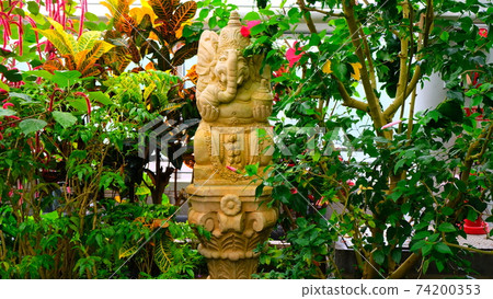 Ganesha Ganesha 74200353
