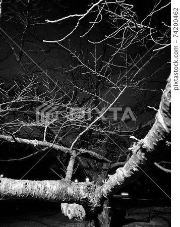 The power of nature The power of nature 74200462