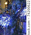 LEDs and plants 74200622
