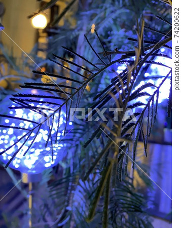 LEDs and plants LEDs and plants 74200622