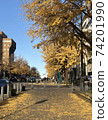Gingko lined trees of Japanese main street 74201990