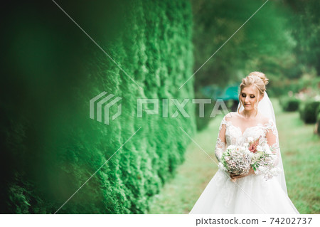 Beauty portrait of bride wearing fashion wedding dress with feathers with luxury delight make-up and hairstyle Beauty portrait of bride wearing fashion wedding dress with feathers with luxury delight make-up and hairstyle 74202737